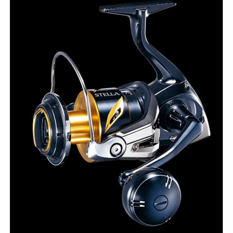 Shimano 19 Stella SW 8000PG