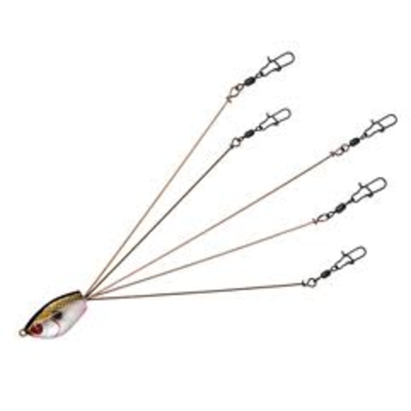 Yum F2 Lil' Suzee 425" 8ct Watermelon Seed
