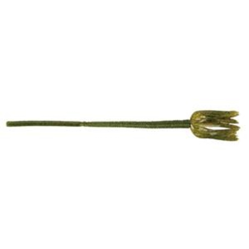 Yum Shakalicious Worm 5" F2 Watermelon Seed