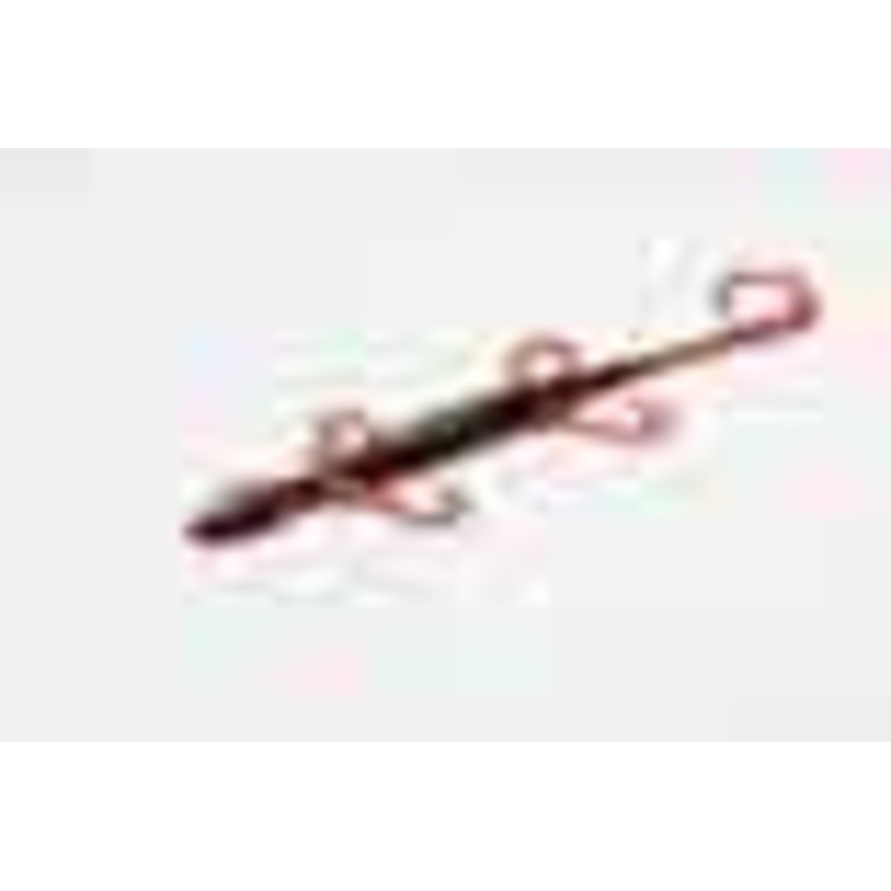 Zoom Magnum Lizard 8in 9/bag Red Bug