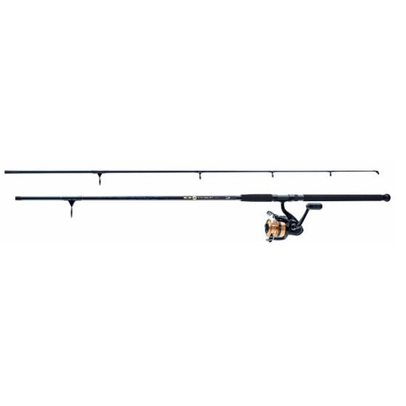 Daiwa Combo D-Wave Spin Combo 1BB 9' 2pc M