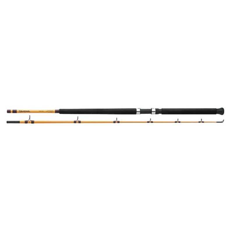 Daiwa FT Surf Spinning Rod 11' 2pc M
