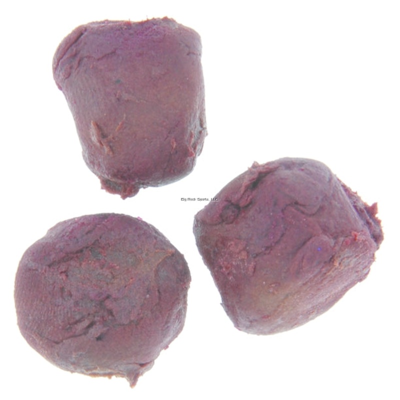 Berkley Gulp Catfish Dough (5oz, Assorted Colors)