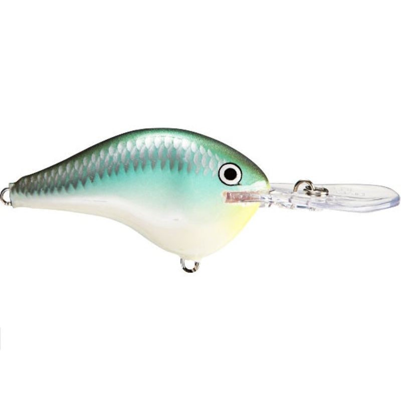 Rapala DT Series 6' 3/8 2" Blue Back Herring