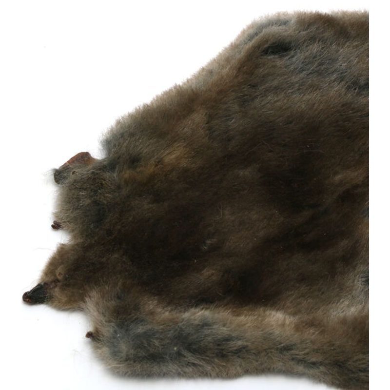 Mole Skin