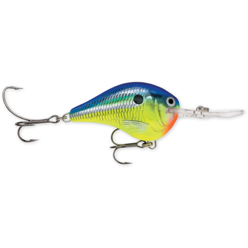 Rapala DT Series 3/4 Parrot