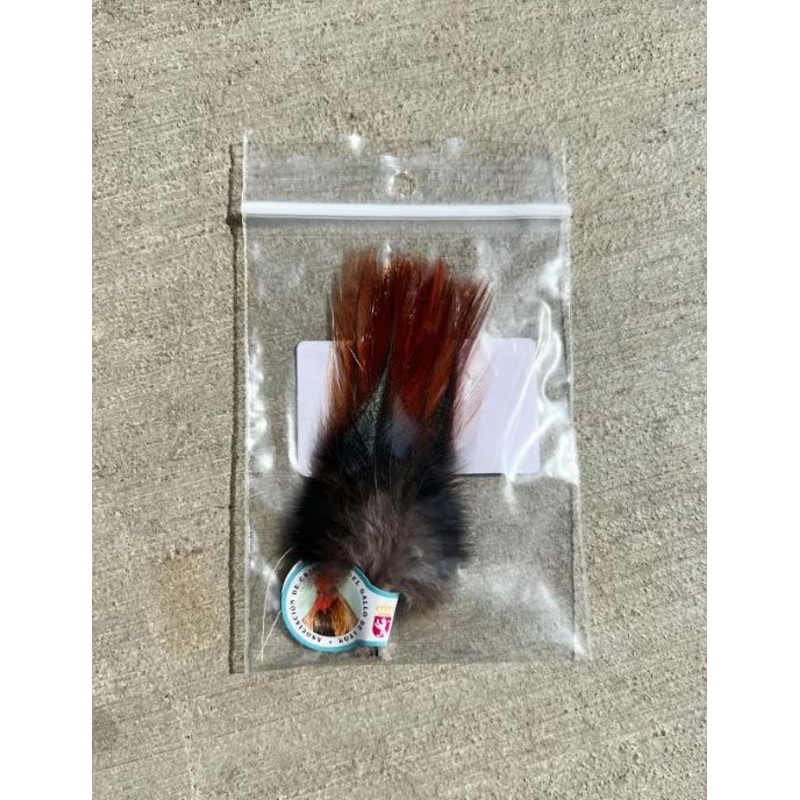 Spanish Coq De Leon - Brown