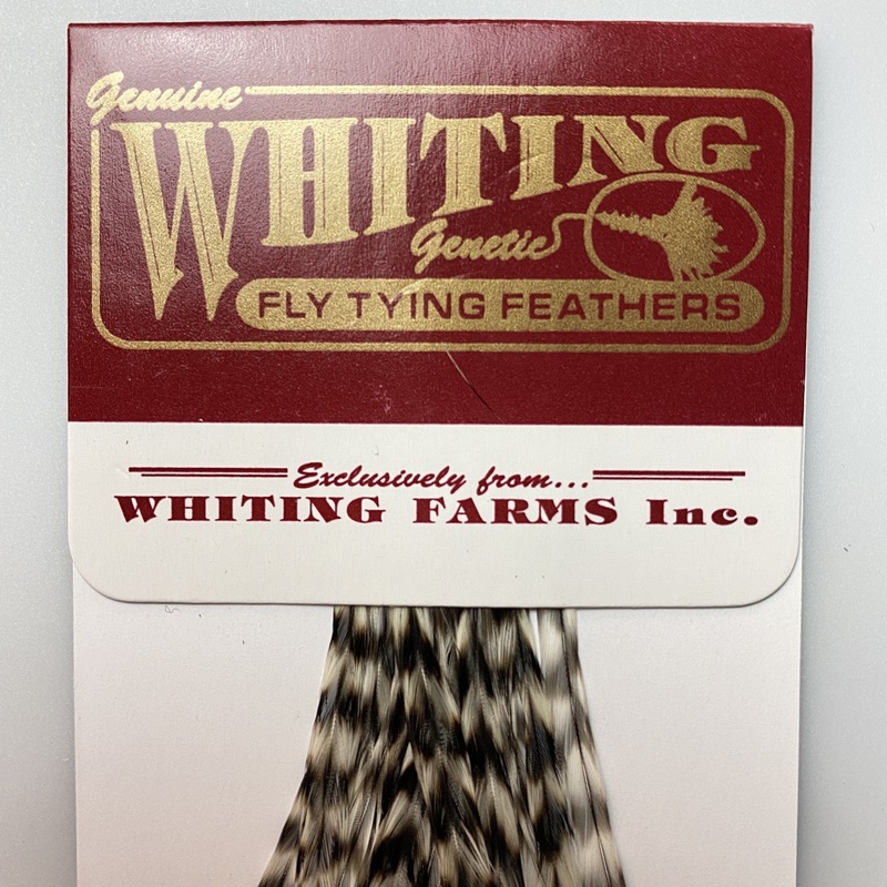 Whiting 100 Pack Dry Fly Hackle  - Grizzly - 10