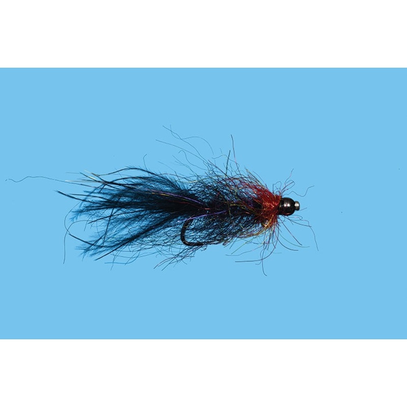 Balanced Leech - Bruised