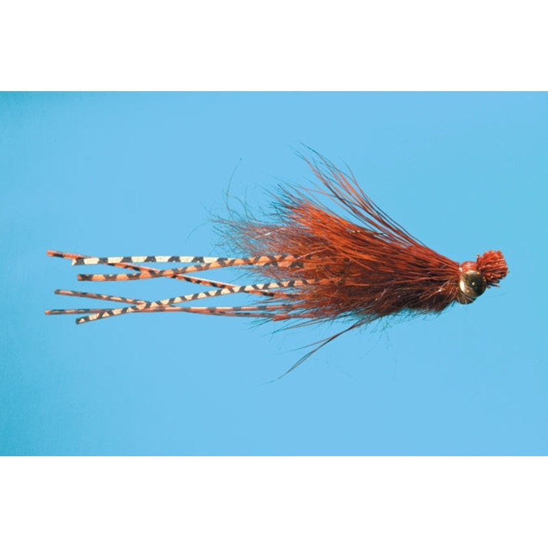 Crazy Dad Streamer sz 8 - Pumpkin