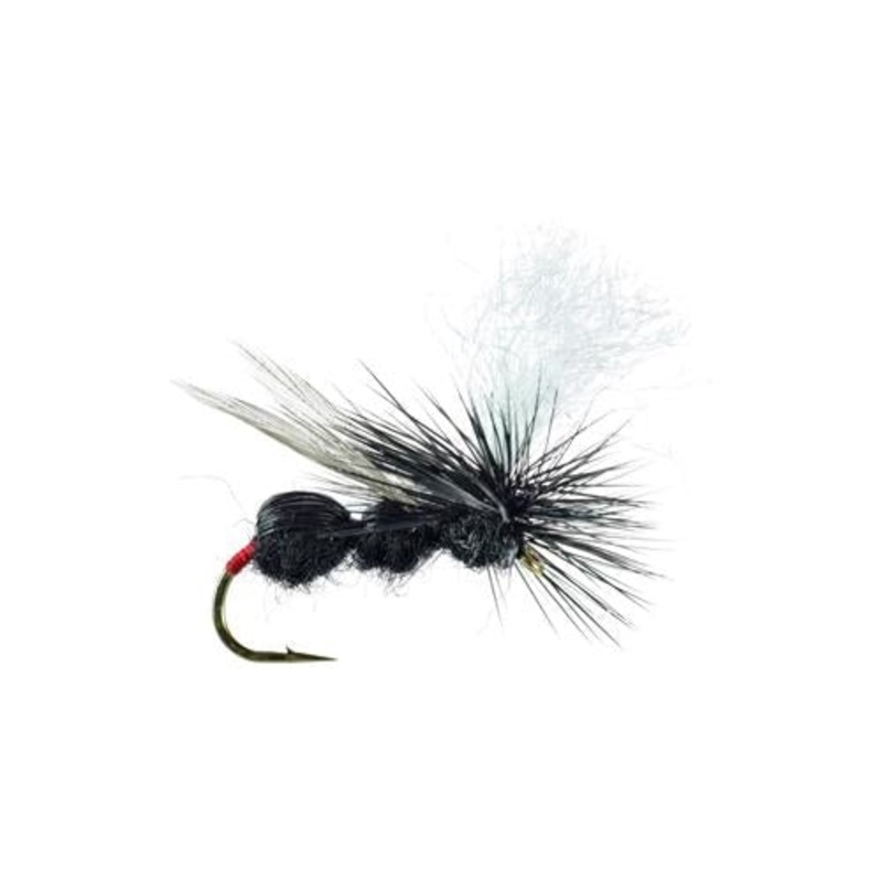 Deer Hair Ant