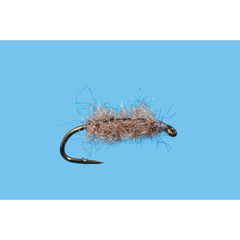 Hare Sow Bug - Dark