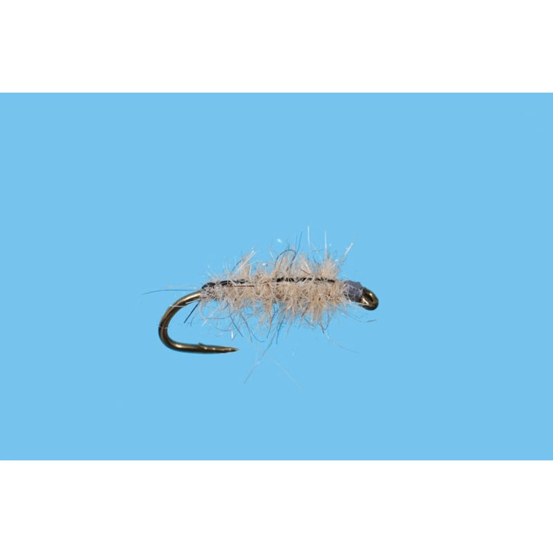 Hare Sow Bug - Light