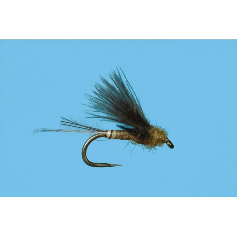Harrop's CDC Biot Dun - BWO