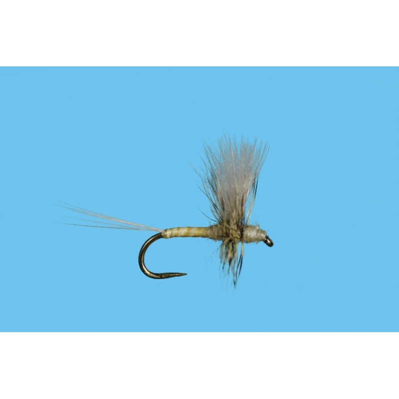 Harrop's CDC Thorax - PMD