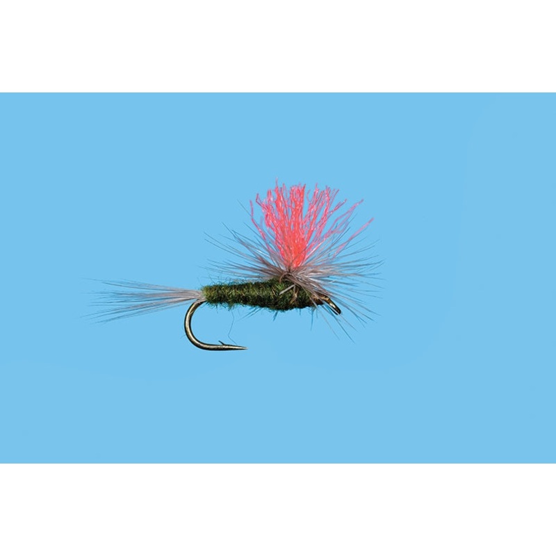 Hi-Vis BWO