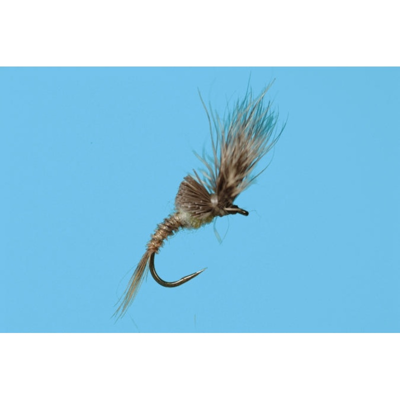 Morris May Emerger - PMD
