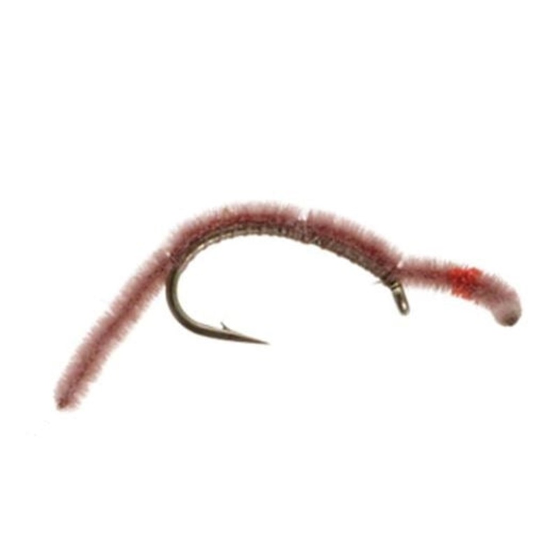 San Juan Worm - Worm Brown