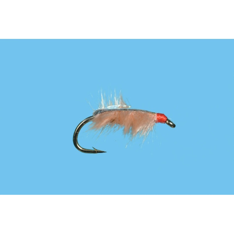 Sow Bug - Tan