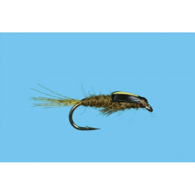 Split Case - BWO