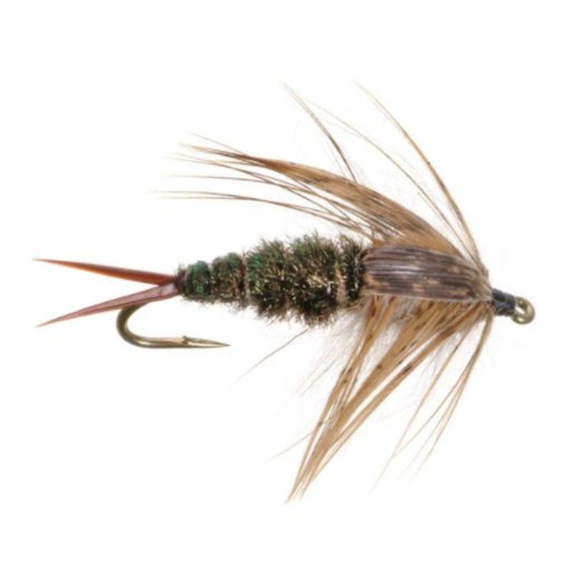 20 Incher Stonefly