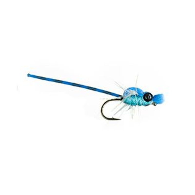 Adult Damsel - Blue