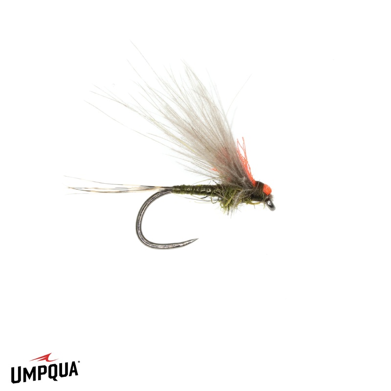 Antonio's Adult BWO