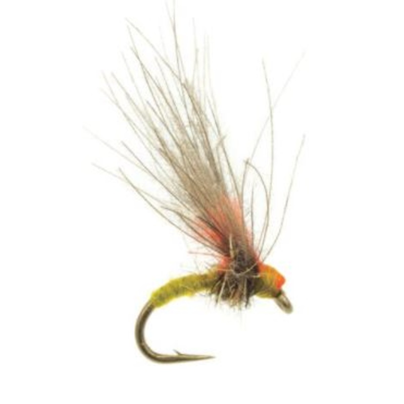 Antonio's Emerger PMD