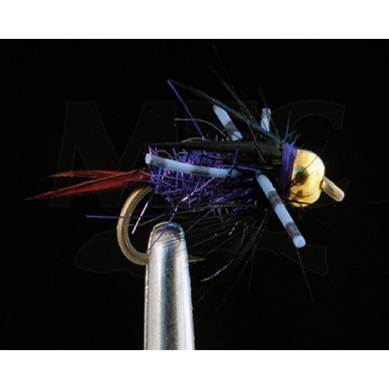 BH Batman Nymph Purple
