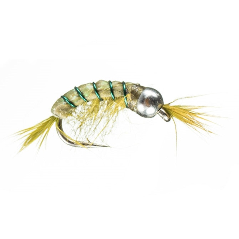 BH Scud - Olive