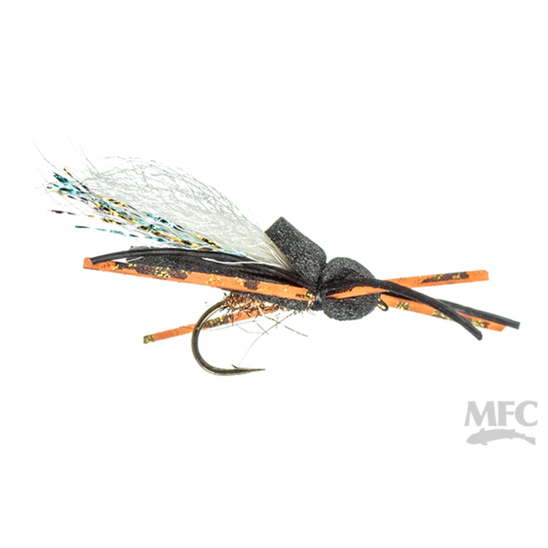 Card's Cicada