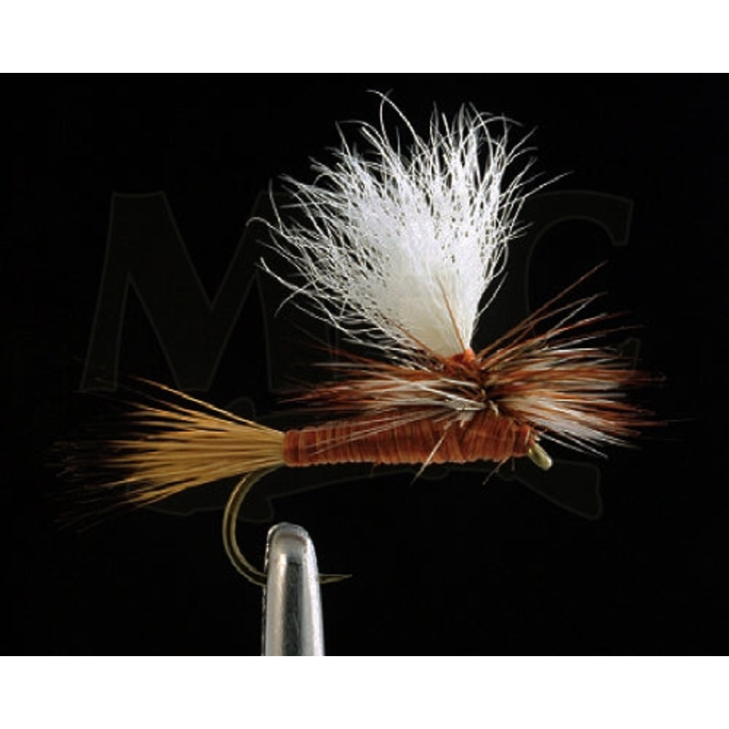 Carlson's Copper Haze