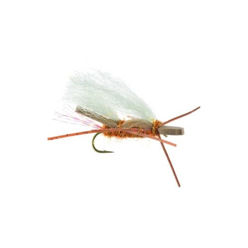 Chubby Chernobyl Pteronarcys