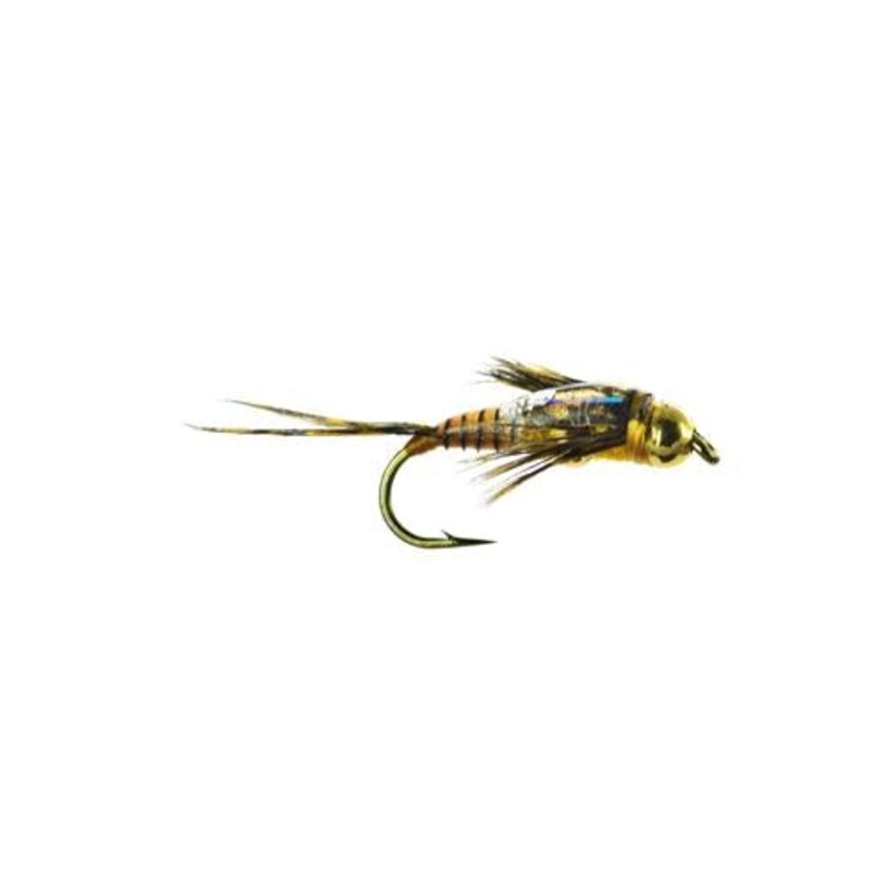 Craven's Two Bit Stone - Golden