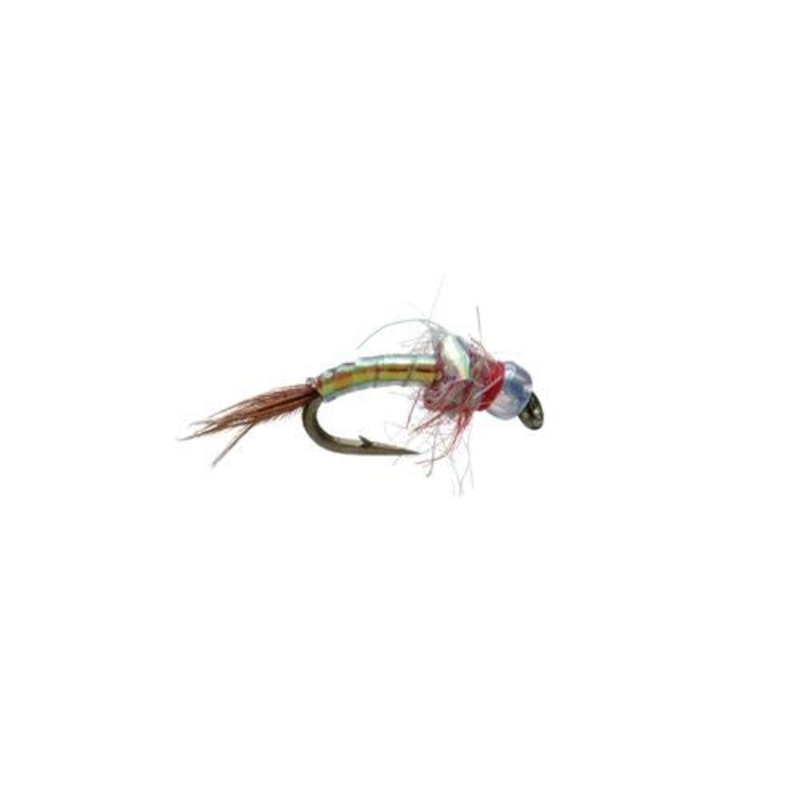 Egan's Rainbow Warrior - Red