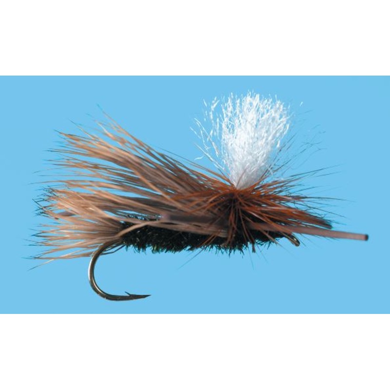 Para. X - Peacock Body