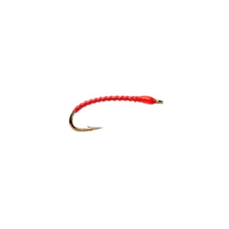 Boroff's Anneworm - Orange