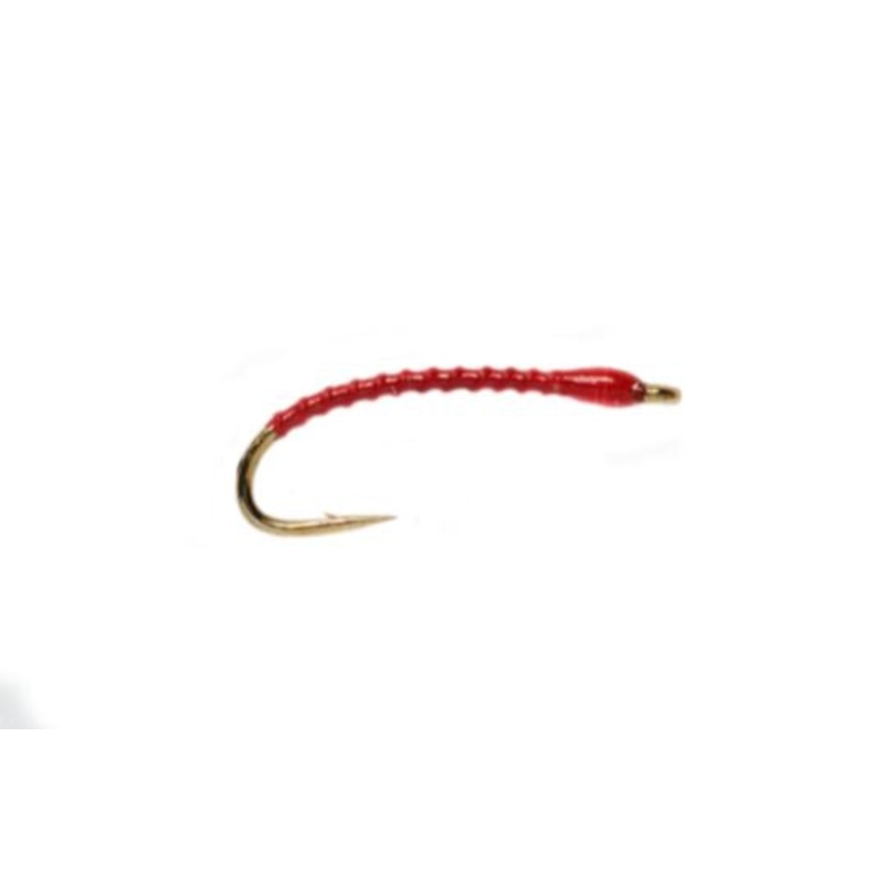 Boroff's Anneworm - Red