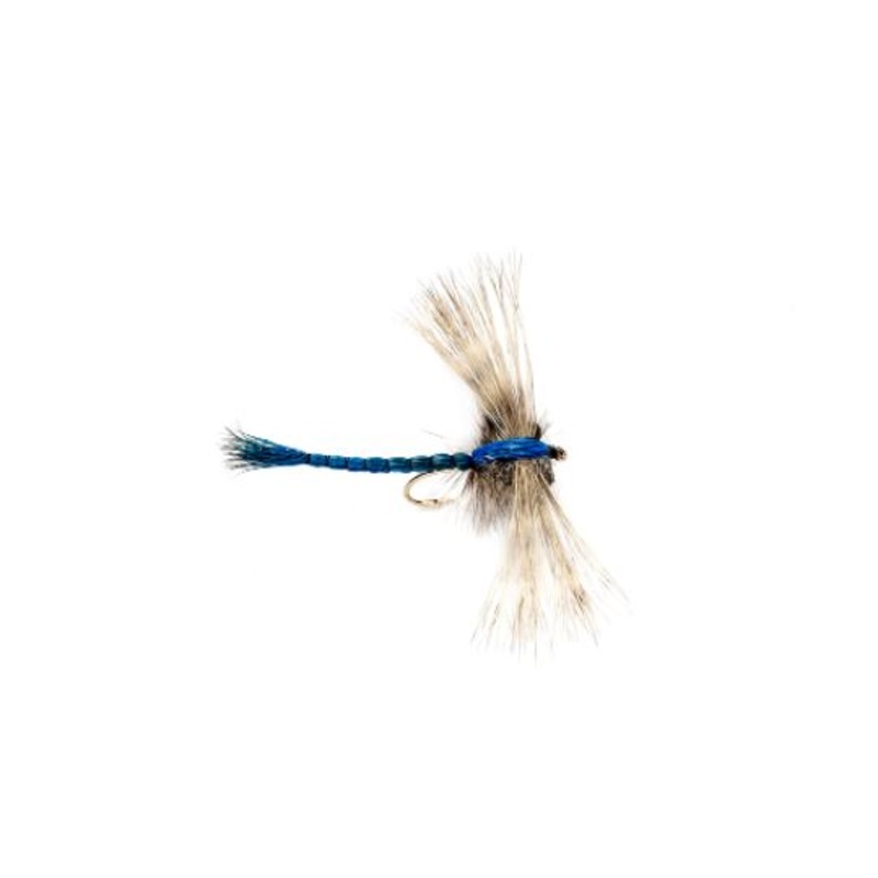 Gibson's Dragon Fly
