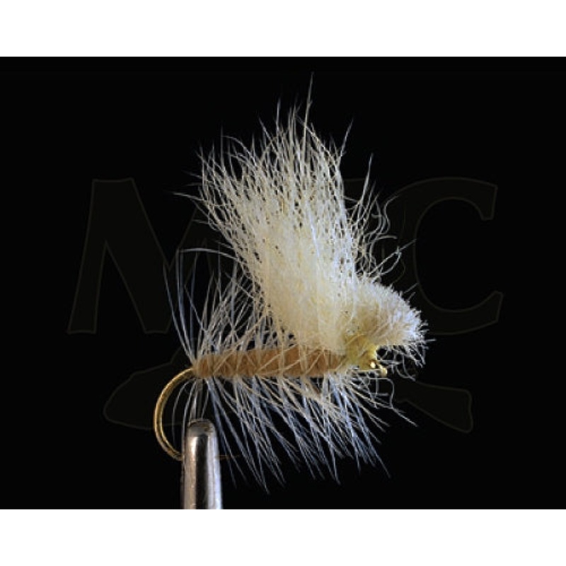Koichi's Snowshoe Spruce Moth