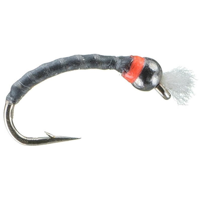Rowley's Grey Boy
