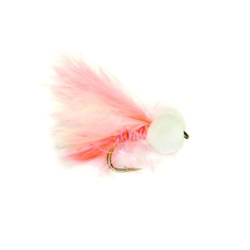 Booby Coral Straggle