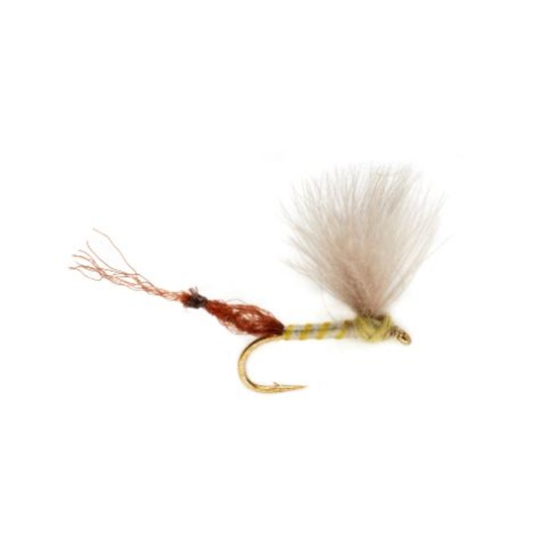 Burkus Riffle Robber - Pale Olive