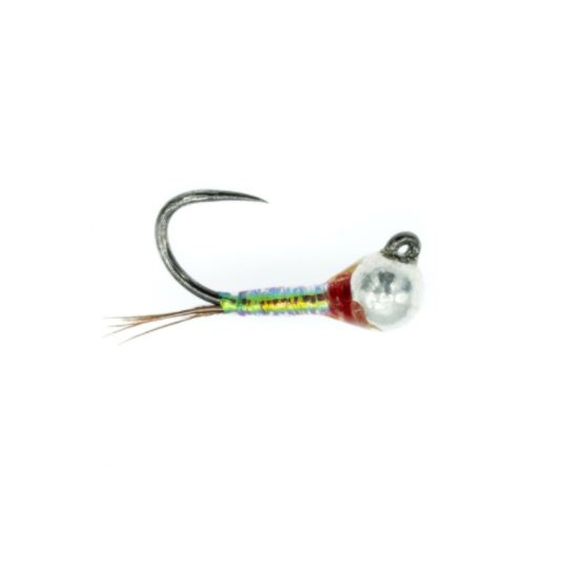 Egan's Warrior Perdigon - Rainbow