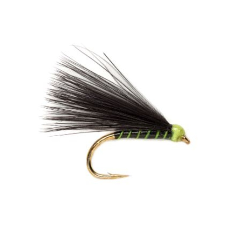 Fl. Green Ribbed Cormorant