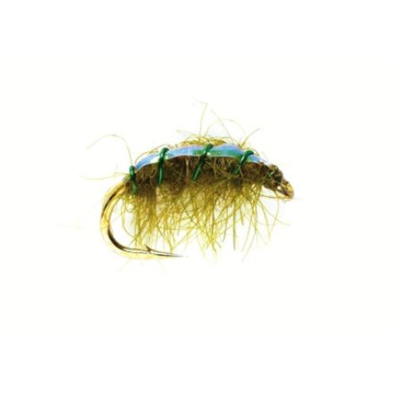 Flashback Shrimp