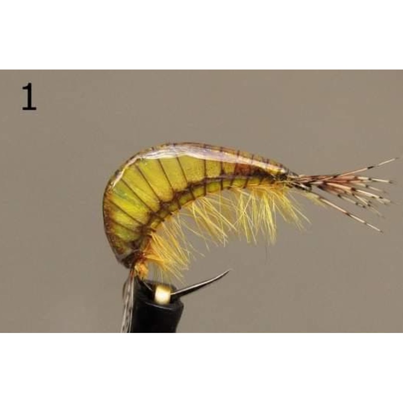 Gammarus - Gaga Flies
