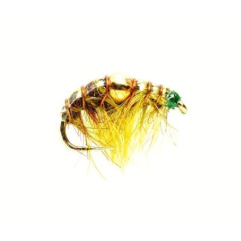 Golden Nugget Shrimp Olive