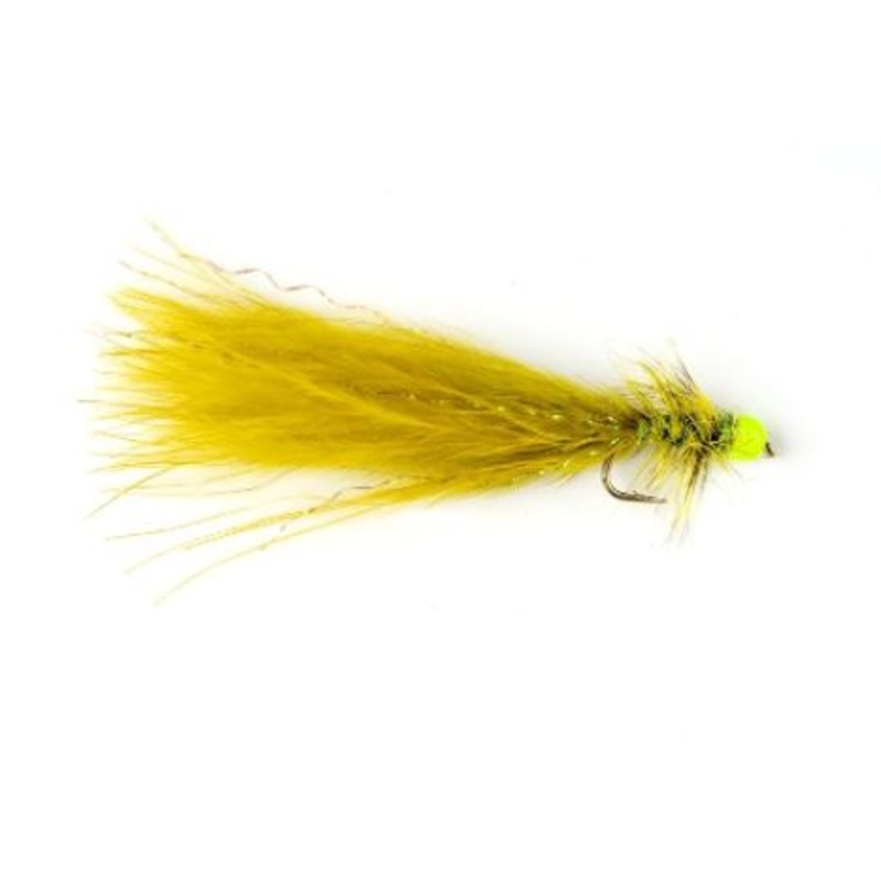 Hot Taddy Olive & Green