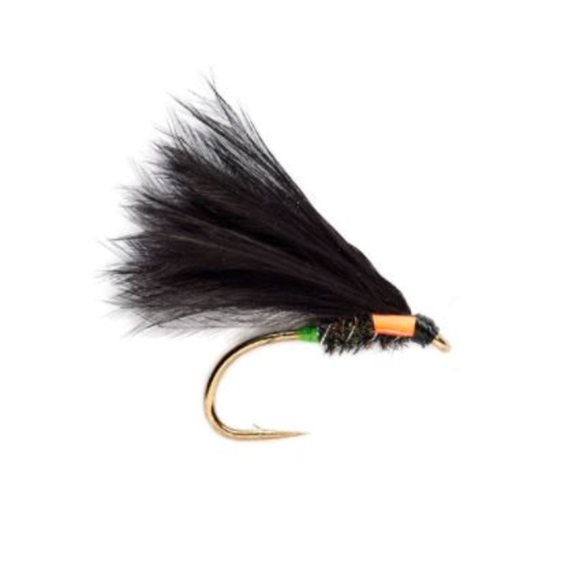 KJ Clifton Cormorant